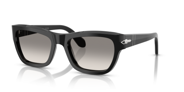 PO0091S