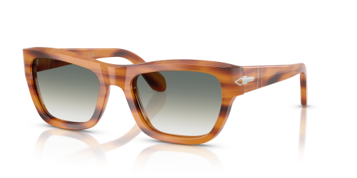 PO0091S