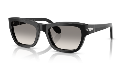 PO0091S